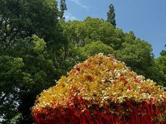 -狼山风景名胜区