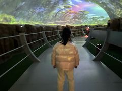 -中国西峡恐龙遗迹园