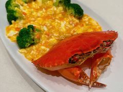 -蝶园·装修中(BFC外滩金融中心店)