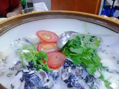 -全乐鱼馆·淳牌有机鱼直营店