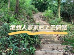 -龙窝子