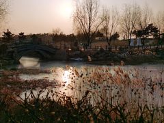-莫子山公园
