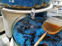 -七鲜超市(华宇时尚购物中心店)