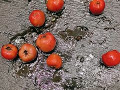 -香雪海饭店中餐厅(湖滨店)