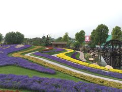 -南通洲际绿博园