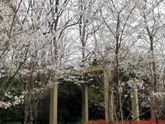 -黄兴公园