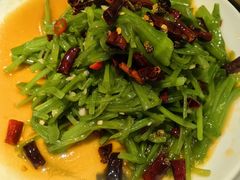 菌香凉拌水性杨花-外婆味道·云南菜大当家(关上店)