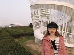 -雪绿茶博物馆