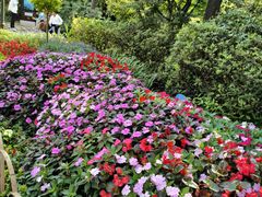 -庐山风景区花径公园