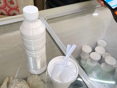 -洪馨椰子