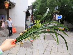-瑞来春堂(南后街店)