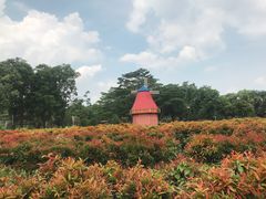 -东莞植物园