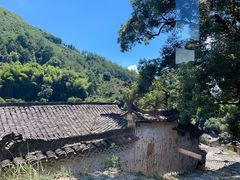 -杨家堂村