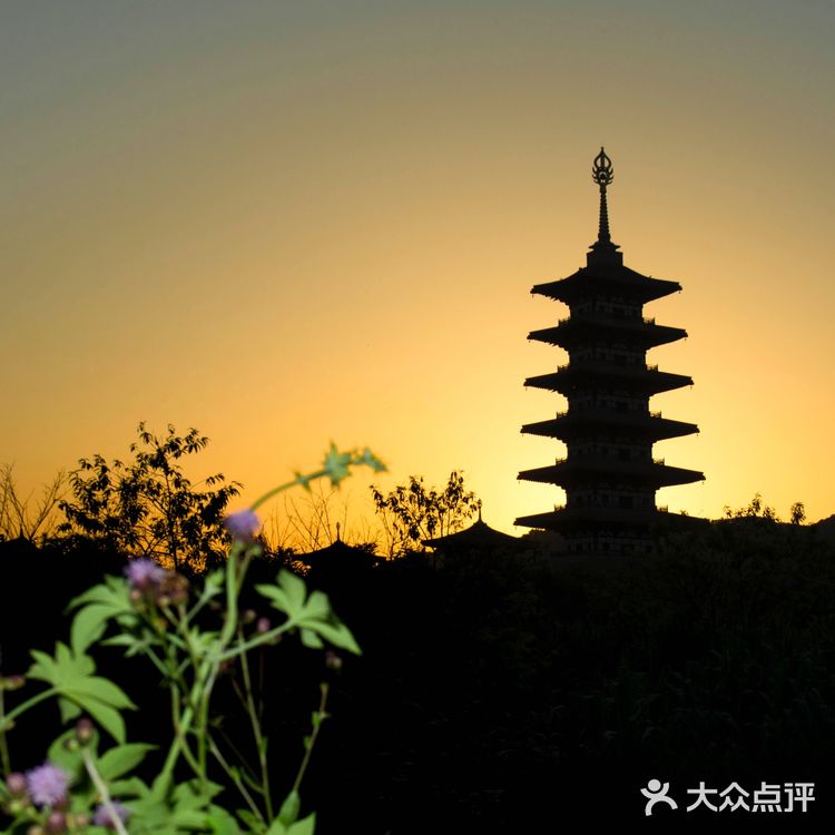 来到这里，能瞻拜到佛祖舍利，真是无上的荣幸