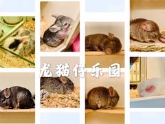 -龙猫仔乐园(惠福东路店)