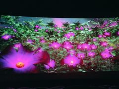 -新影联·华谊兄弟影院(望京店)