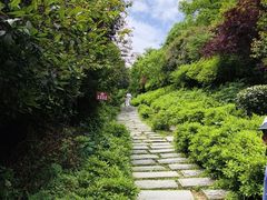 -桃花岭景区
