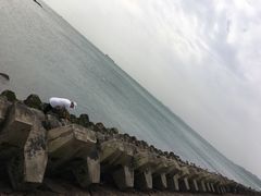 -青岛第二海水浴场