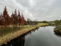 -眉山湿地公园(东坡区)