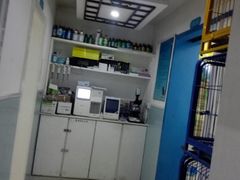 -中农大我爱我爱24h动物医院·中医针灸·猫专科·骨科医疗中心(双井店)