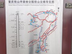 -铁山坪森林公园