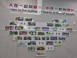 -悟空祛痘·诺奖技术专业店