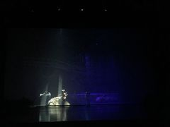 -合肥大剧院