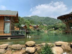 -杭州开元森泊度假乐园