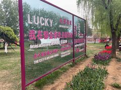 -洛阳郁金香牡丹园