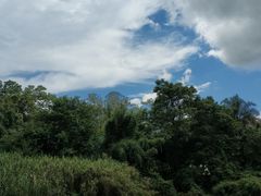 -南宁良凤江国家森林公园