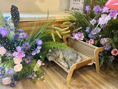 -南枝小馆(银鱼巷店)