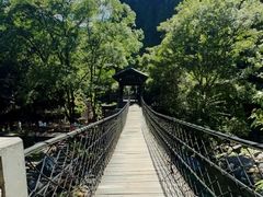 -石台牯牛降景区