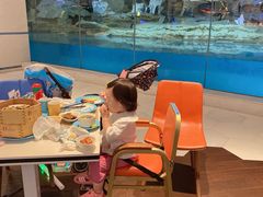 -帝企鹅自助餐厅•儿童岛•真企鹅(长隆企鹅酒店)