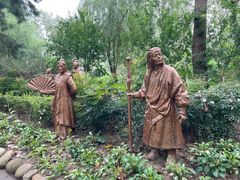 -合肥滨湖国家森林公园