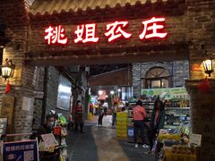 门面-桃姐农庄老字号(从化温泉店)