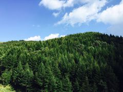 -驼梁风景区