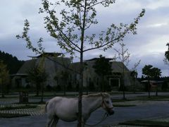 android_upload_pic-叠水河瀑布