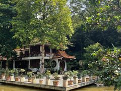 -深圳仙湖植物园