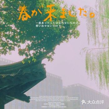 爱健康，爱生活的你，早上在这里享受这独特的风景挺不错的。