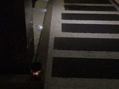 -南美元生态大酒店(海珠店)