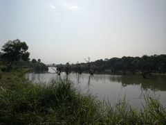 -鹤之洲湿地公园