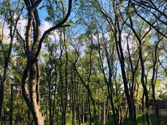 -长春市南湖公园