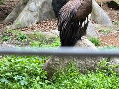 -宁波野生动物园