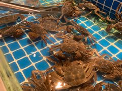 -星伦多自助料理·涮烤一体(杭州来福士店)