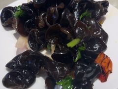 -蝎王府羊蝎子(天通苑店)