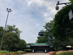 -桂湖森林公园