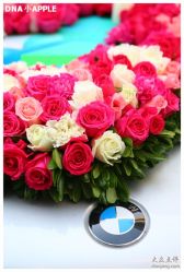 -DNA Wedding 婚礼记(上海店)