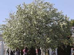 -沈阳植物园