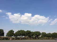 -东华大学(松江校区)