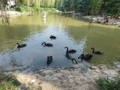 -郑州市动物园